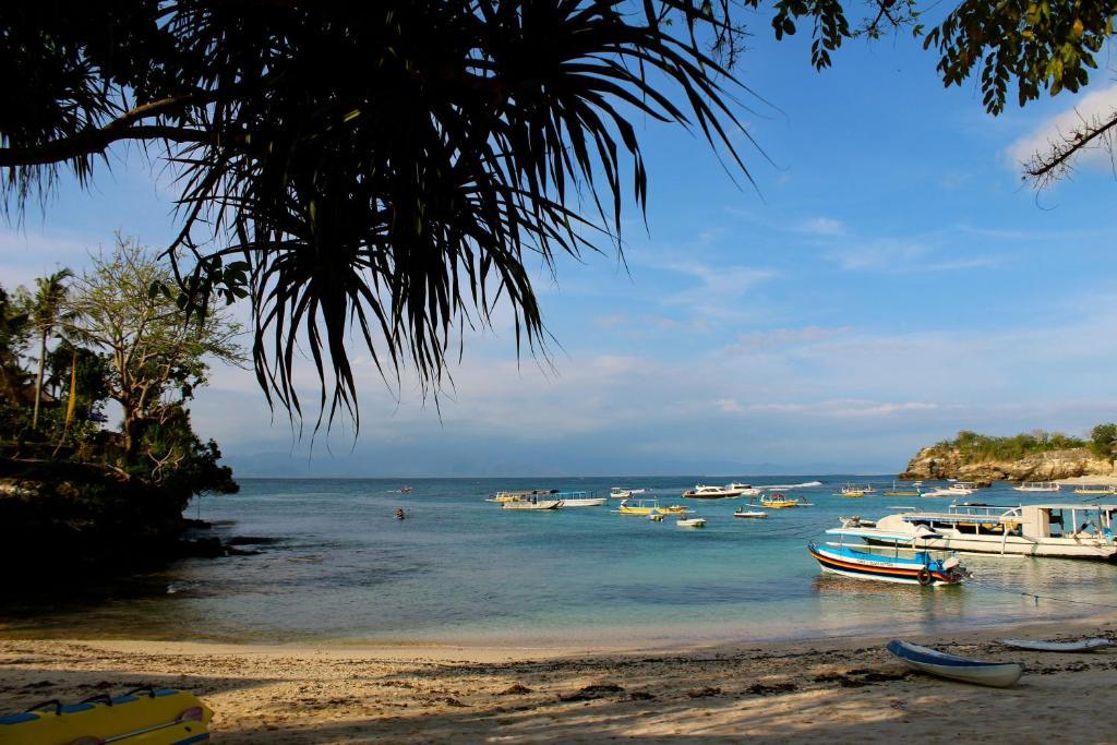 Molamola House Hotel Nusa Lembongan  Phòng bức ảnh